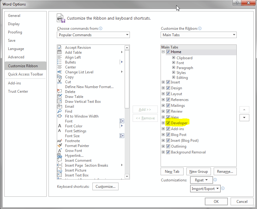Developer Options