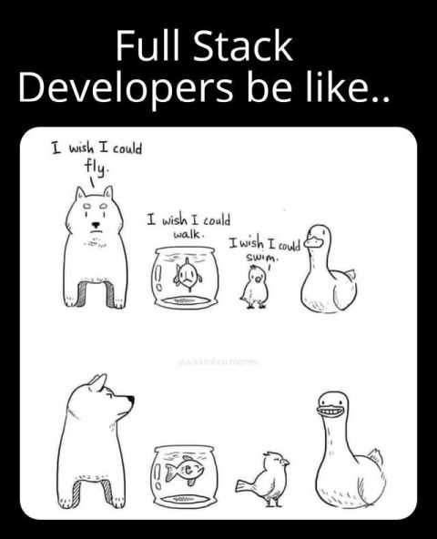 Full Stack Developers meme